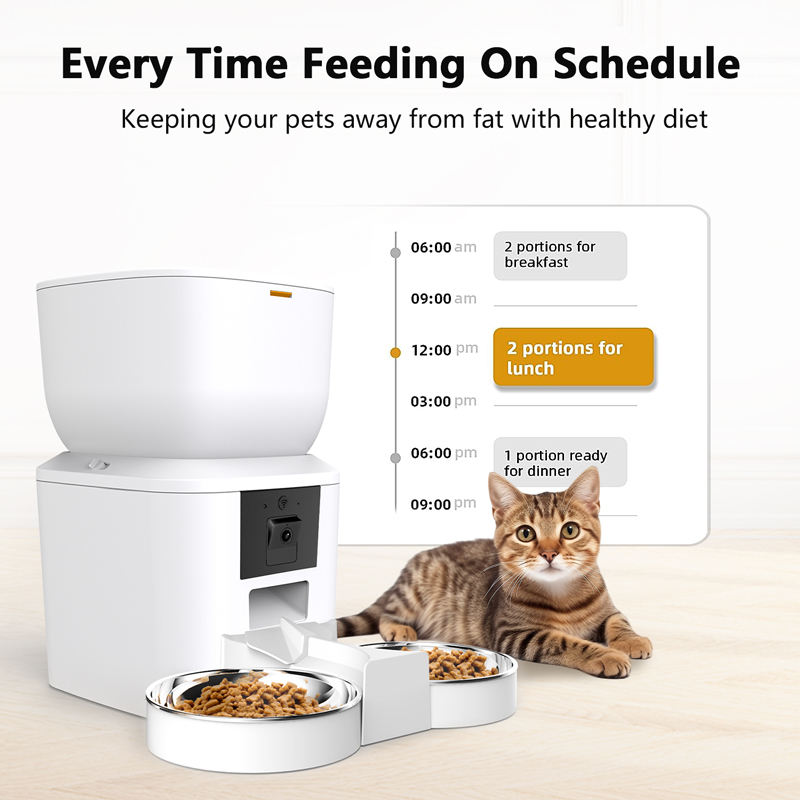 Pemberi makan kucing otomatis, - Kitchen Appliances Video ulasan dan harga