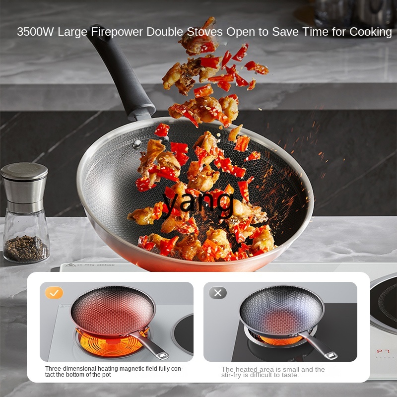 Kompor Induksi LMM Double Burn - Induction Cooker ulasan dan harga