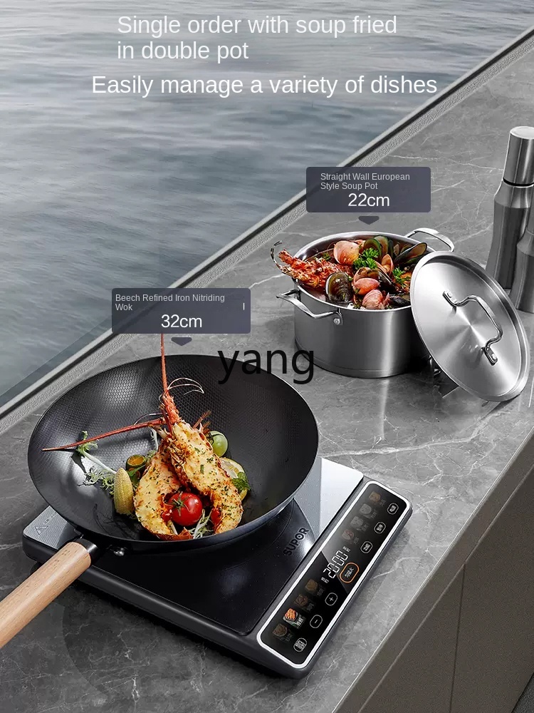 Kompor Induksi Rumah Tangga LM - Induction Cooker ulasan dan harga